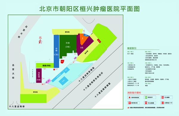 爸爸用力艹我啊啊啊啊北京市朝阳区桓兴肿瘤医院平面图